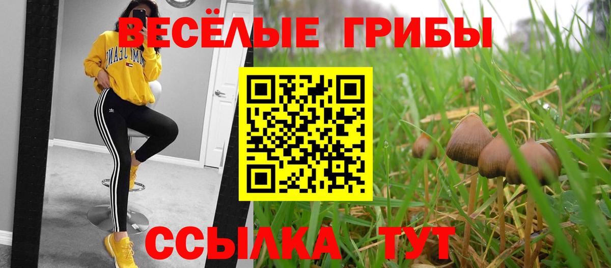 Галлюциногенные грибы Psilocybine cubensis Черкесск