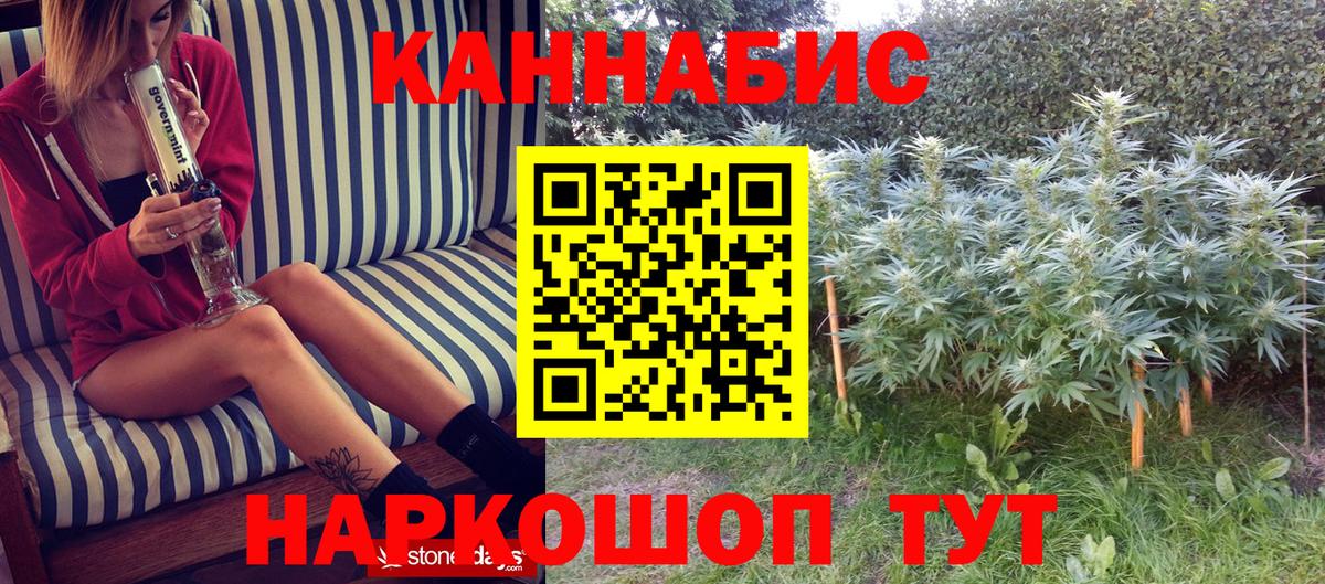 Бошки марихуана Bruce Banner  Вход с VPN  Черкесск  МАРИХУАНА VHQ  МАРИХУАНА THC 21%  МАРИХУАНА THC 21% 